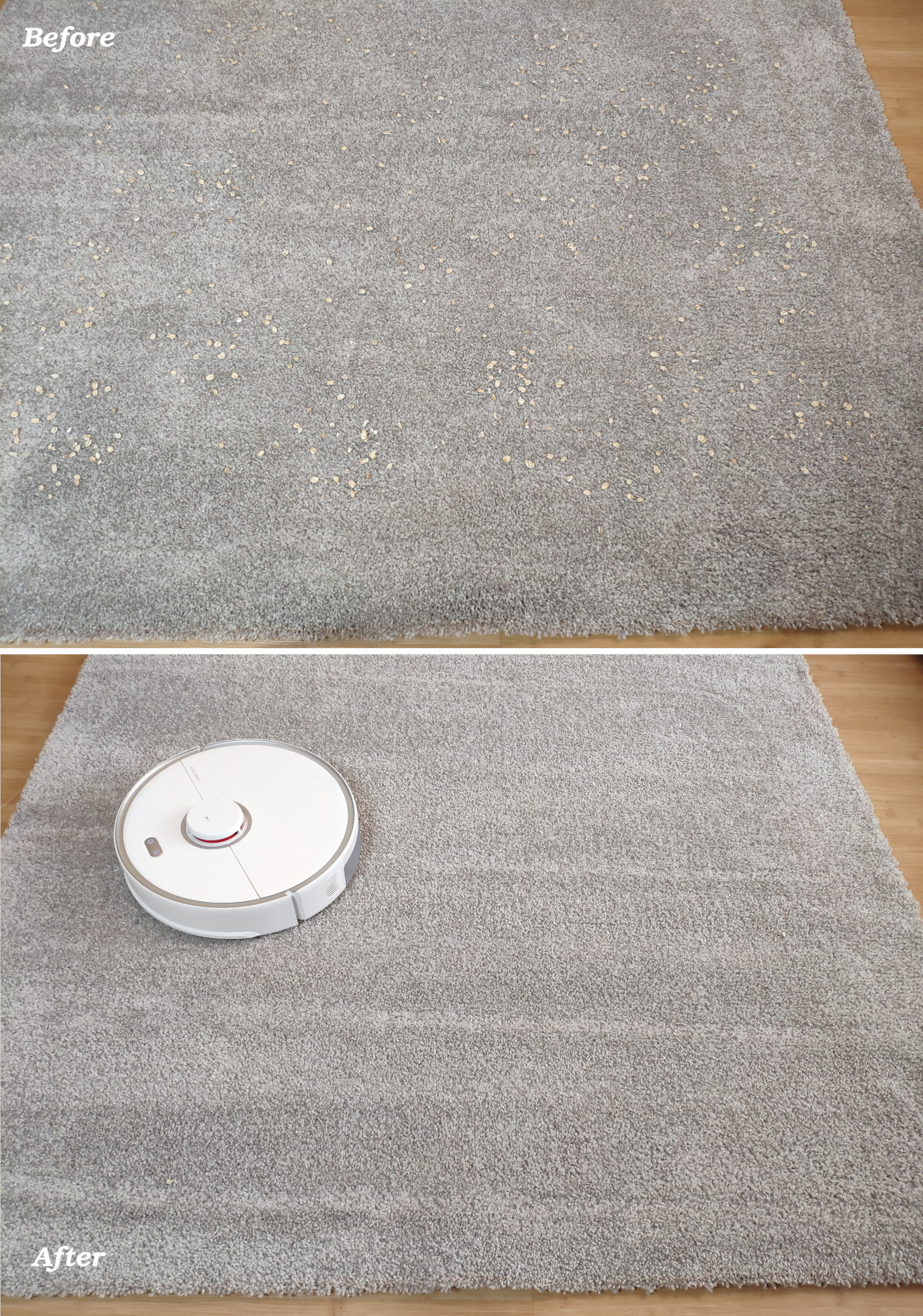 Roborock S5 Max cleaning test on a medium-pile carpet